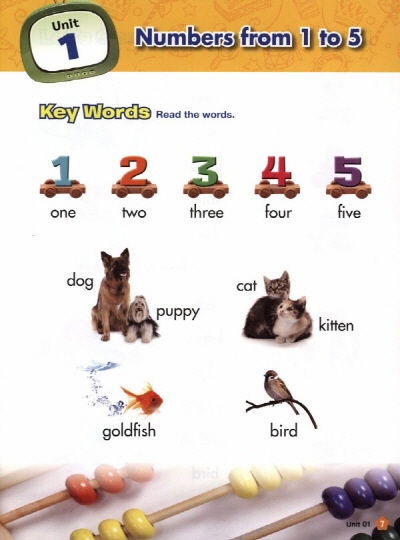 미국교과서 읽는 리딩 American School Textbook Reading Key 입문편